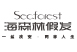 海森林假发，全国假发十大品牌